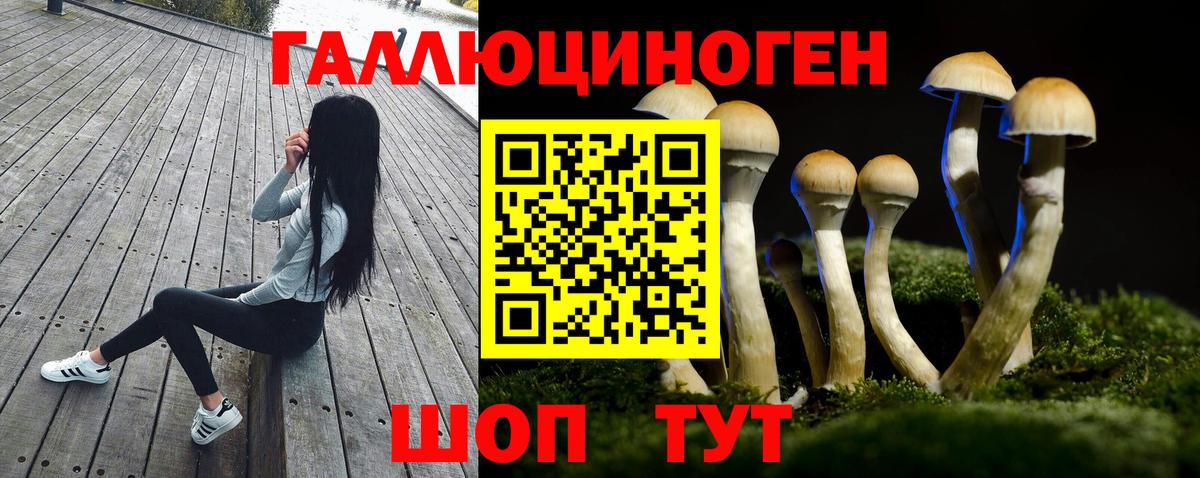 Югорск  Галлюциногенные грибы прущие грибы  Вход с VPN  Галлюциногенные грибы Cubensis 