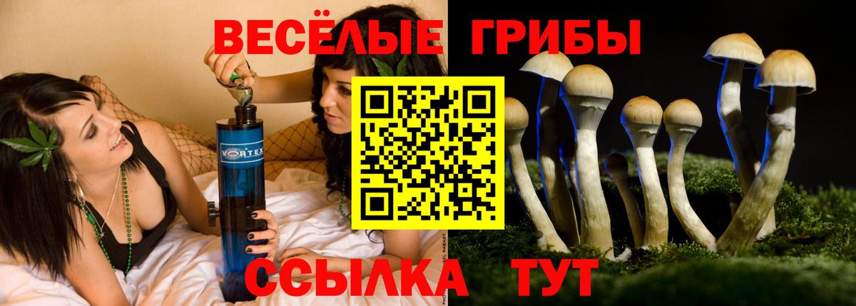Галлюциногенные грибы мухоморы Югорск